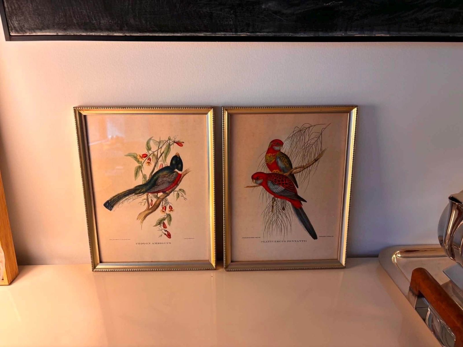 Vintage Framed Bird Prints Pair, Trogon Ambiguus & Platycercus Pennantii, Gould Style Ornithology Wall Art, Gold Frames, France 1960s photo vintage