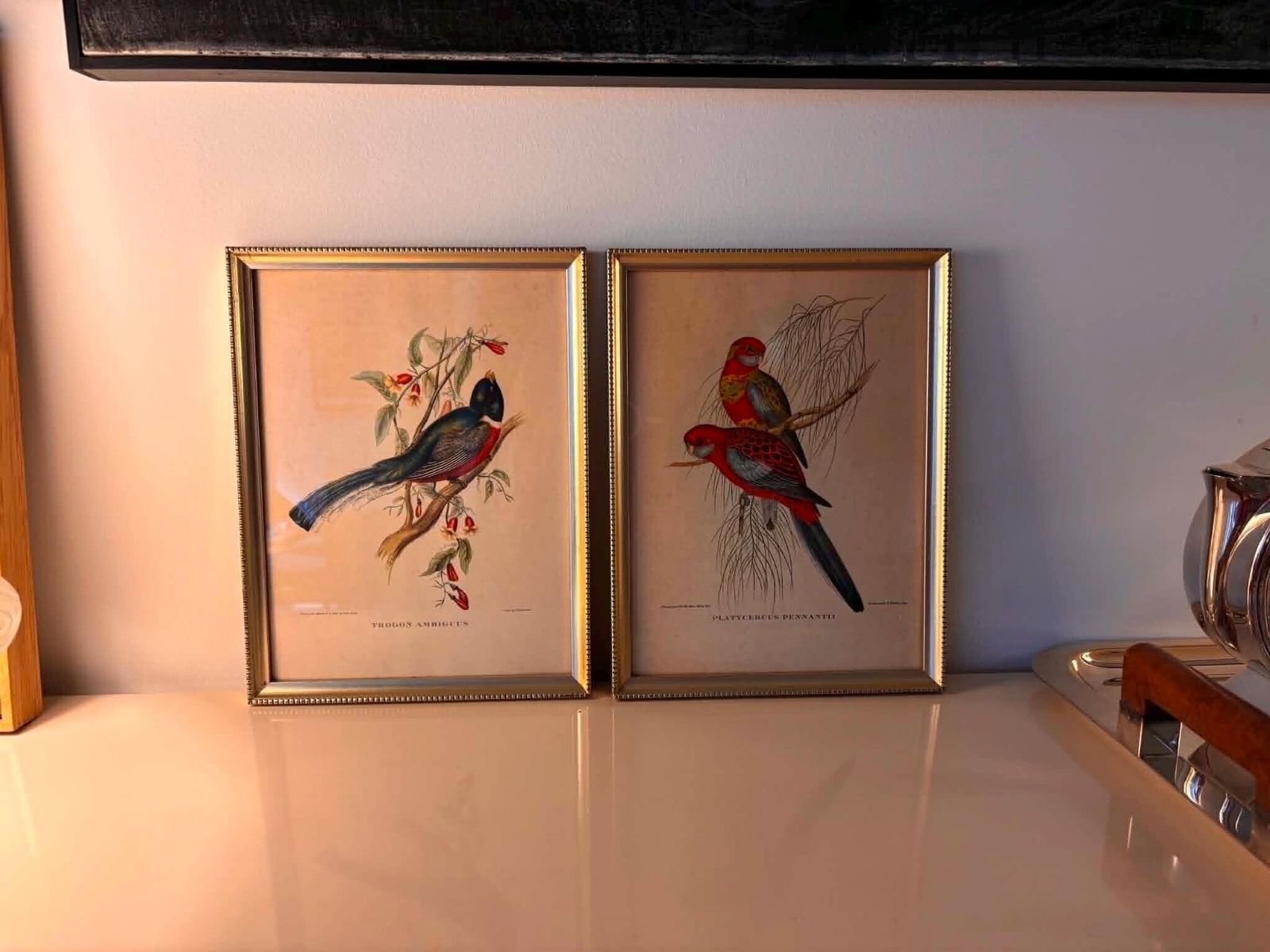photo buy Vintage Framed Bird Prints Pair, Trogon Ambiguus & Platycercus Pennantii, Gould Style Ornithology Wall Art, Gold Frames, France 1960s