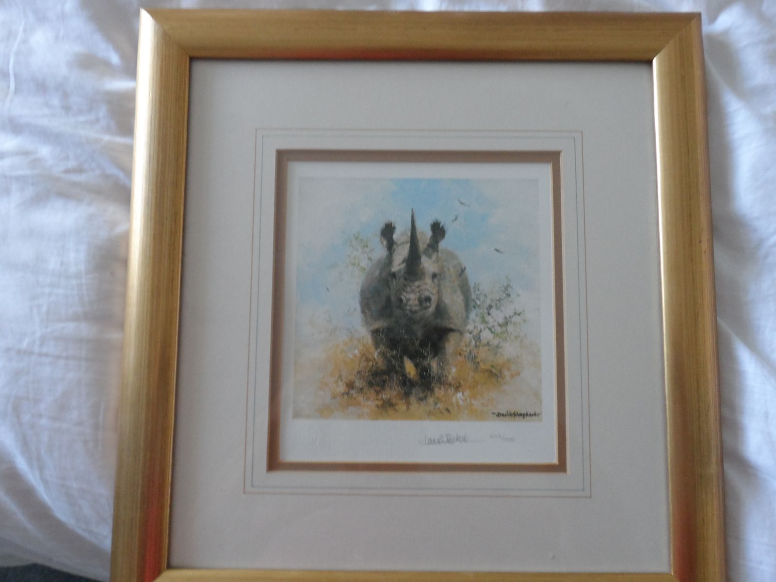 David Shepherd Signed Limited Edition 442/1000 Print = Black Rhino    The Cameo Collection photo buy