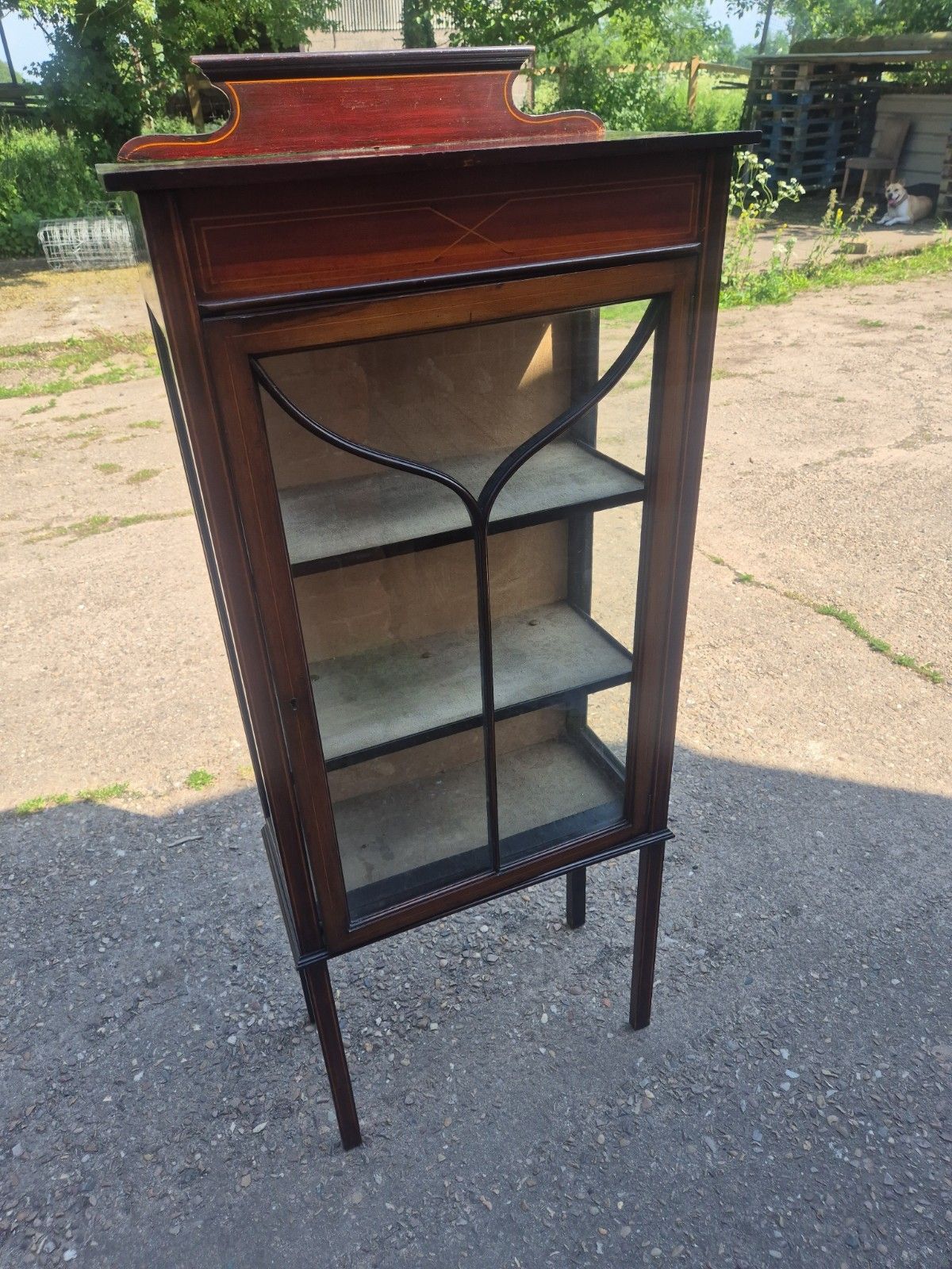 Tall Edwardian Inlaid Mahogany Display Glass Cabinet