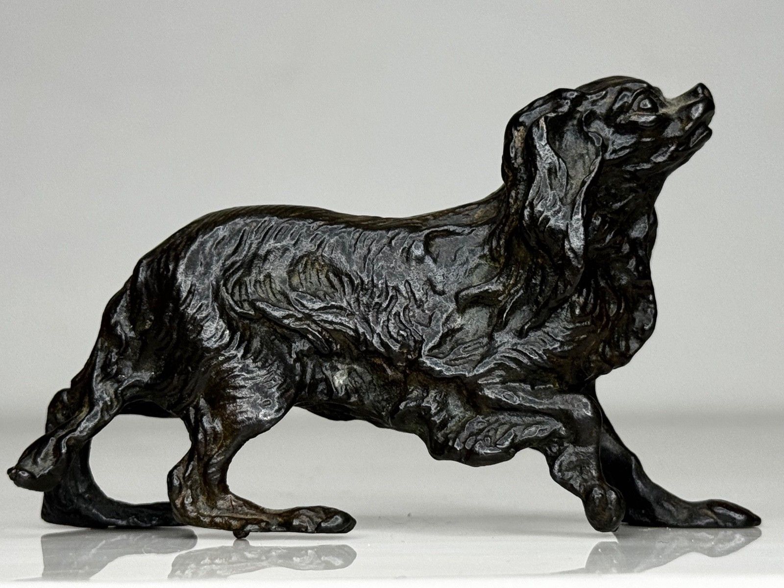 Oostenrijks bronzen langharige tekkel in de stijl van Franz Xaver Bergman photo furniture