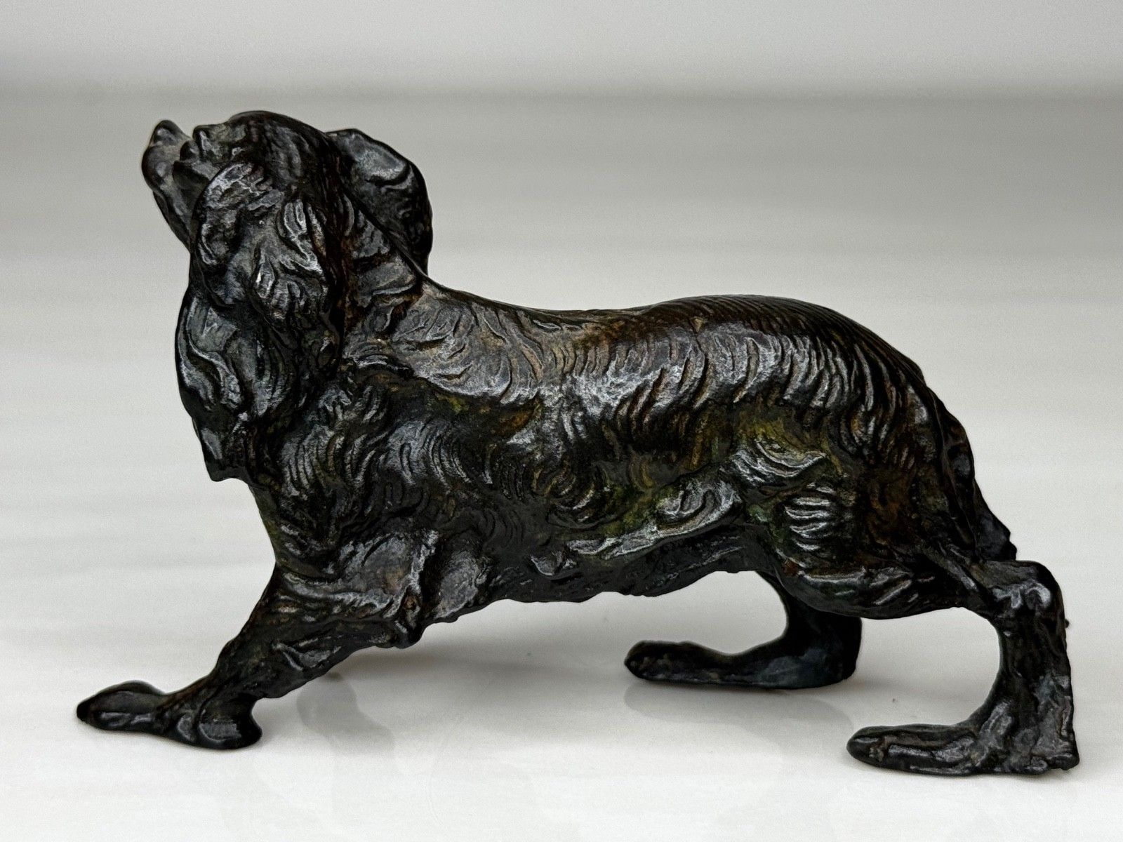 Oostenrijks bronzen langharige tekkel in de stijl van Franz Xaver Bergman photo vinterior