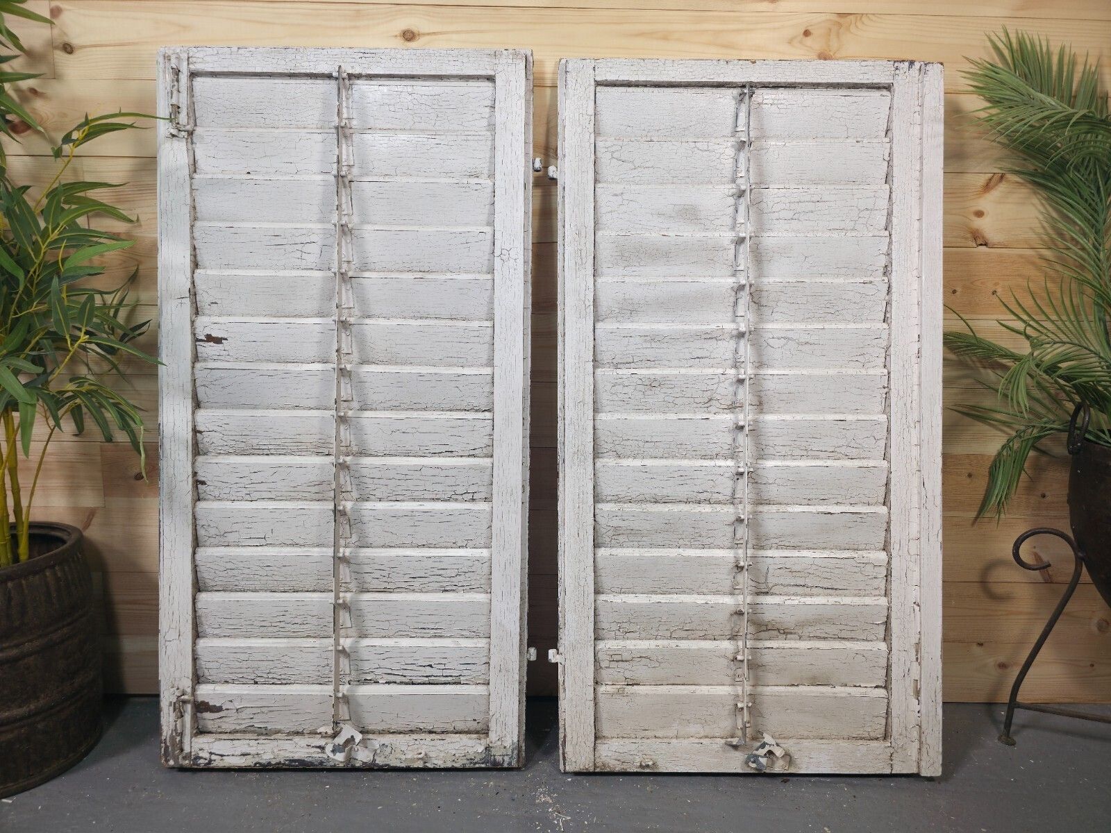Vintage Antique Pair Rustic French Louvered Pine Wooden Window Shutters photo vinterior