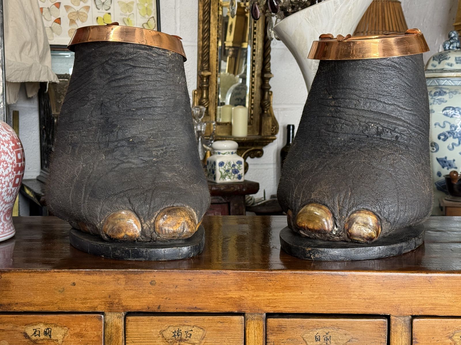 Mature: A Rare Pair Of Victorian Taxidermy Elephant Feet Elephant Foot Stool photo furniture