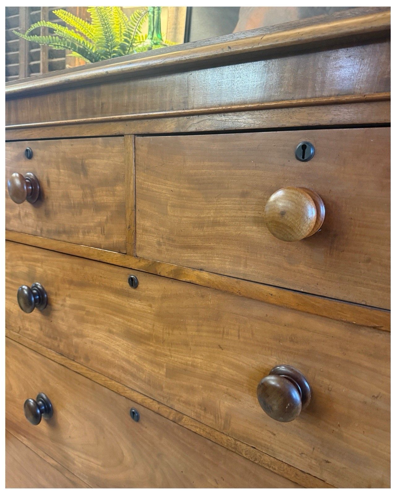C1870 Large Mahogany Victorian Chest Of Drawers With Tulip Feet photo Furniture