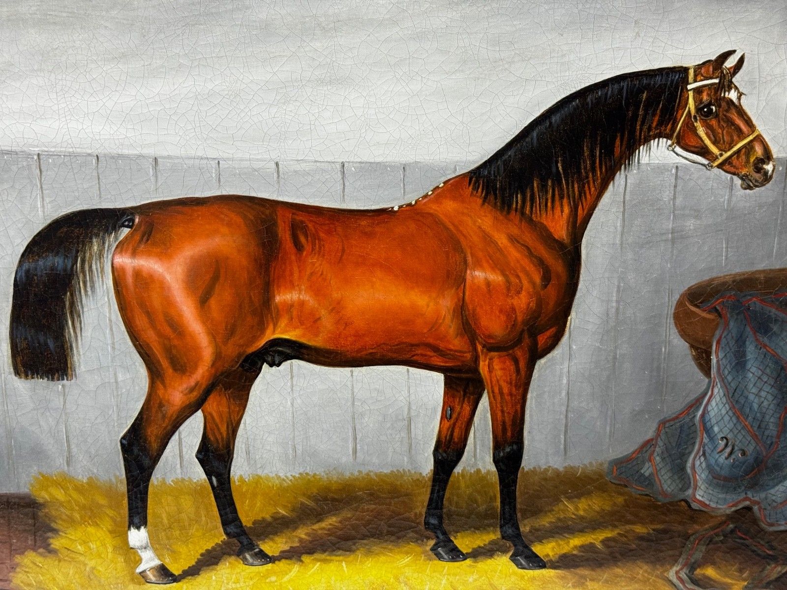 19th Century Equine Oil Painting Horse Portrait William The Conqueror By Samuel Spode C1840 photo for sale