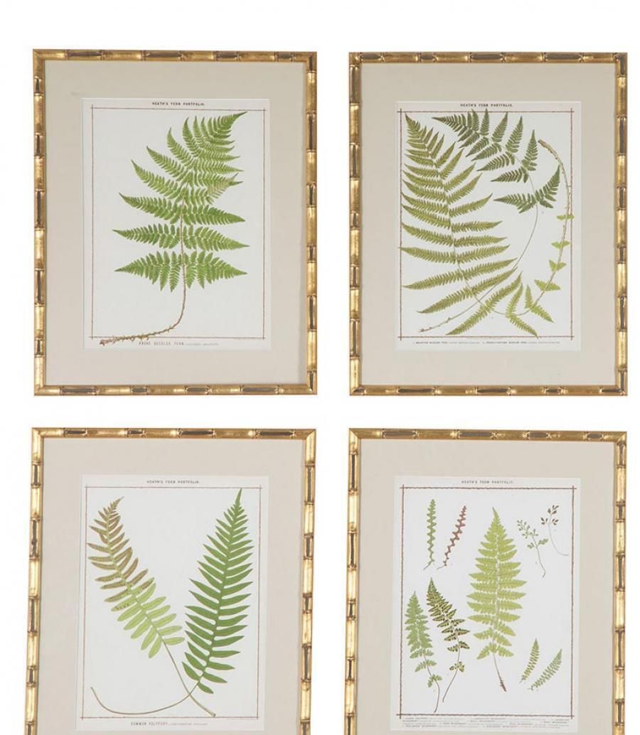 Collection Of Nine Late 19th Century Chromolithographs Of British Ferns photo for sale