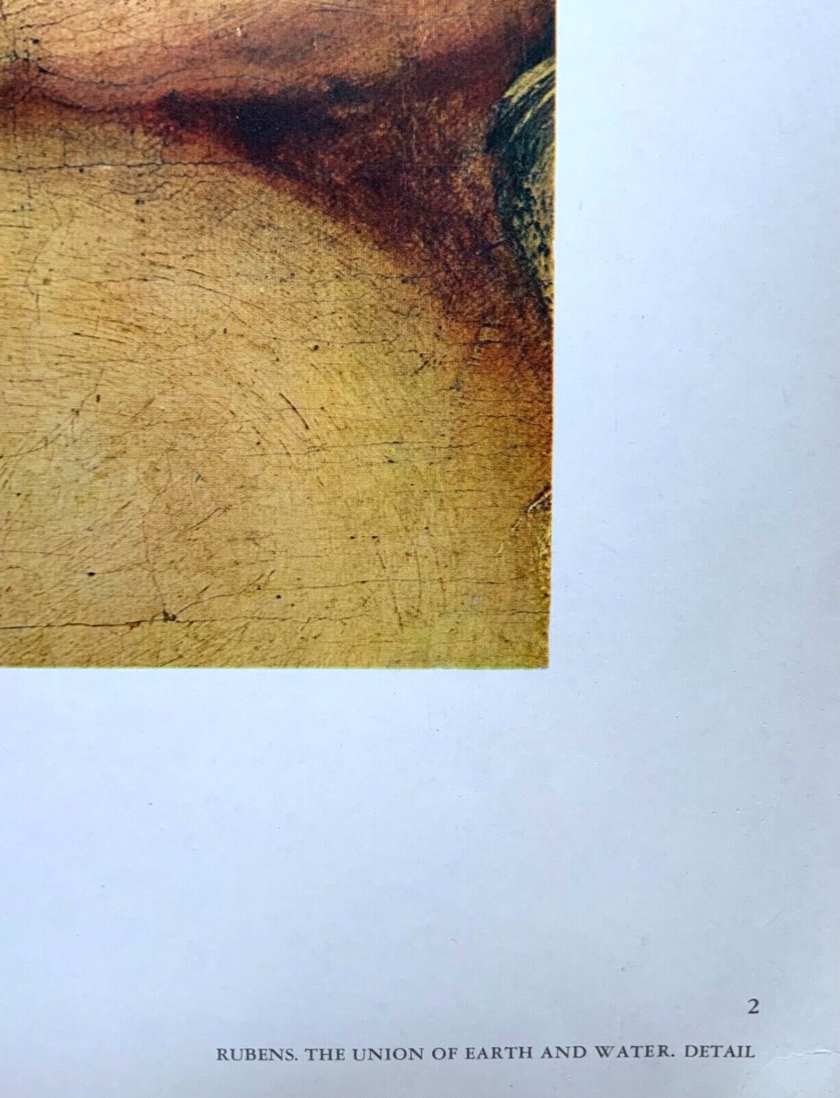 photo for sale Set Os 3 Vintage Print On Paper From Rubens Oil Painting 32cm X 42 Cm