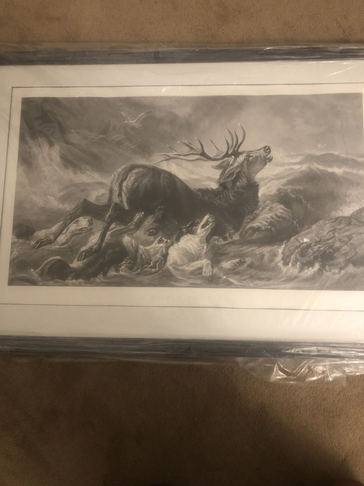 Antique Engraving – The Stag At Bay – Sir Edwin Landseer – 1870–1900 – Original Paris Label – Newly Framed photo for sale