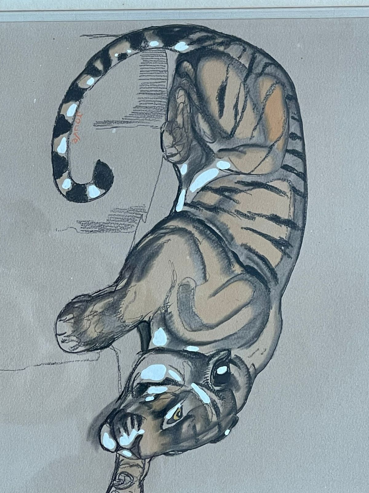 photo for sale Paul Jouve (1878 1973) « Tigre » – Circa 1920