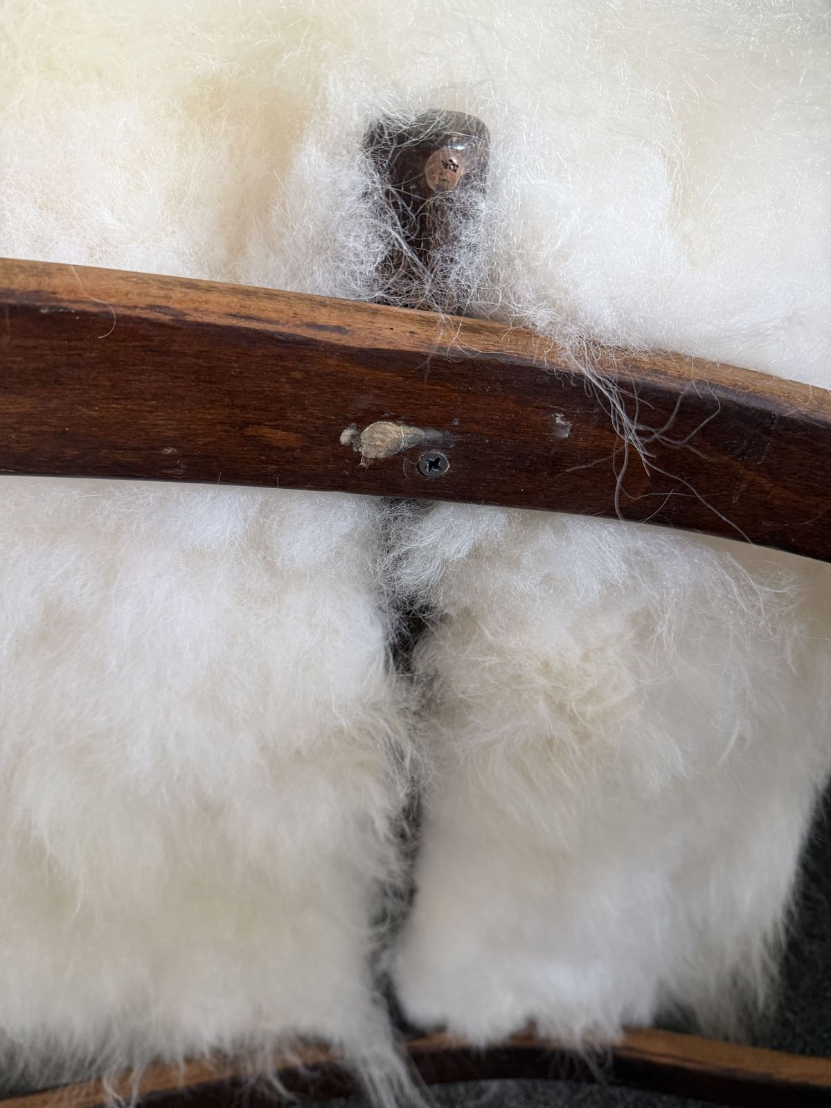 photo for sale Halabala H269 Bentwood Chair, Real Sheepskin Covering