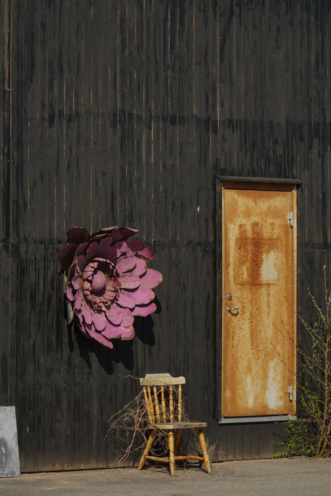 Large Sculptural Metal Flower Wall Decoration, Belgium, Mid 20th Century, 1960s photo Art