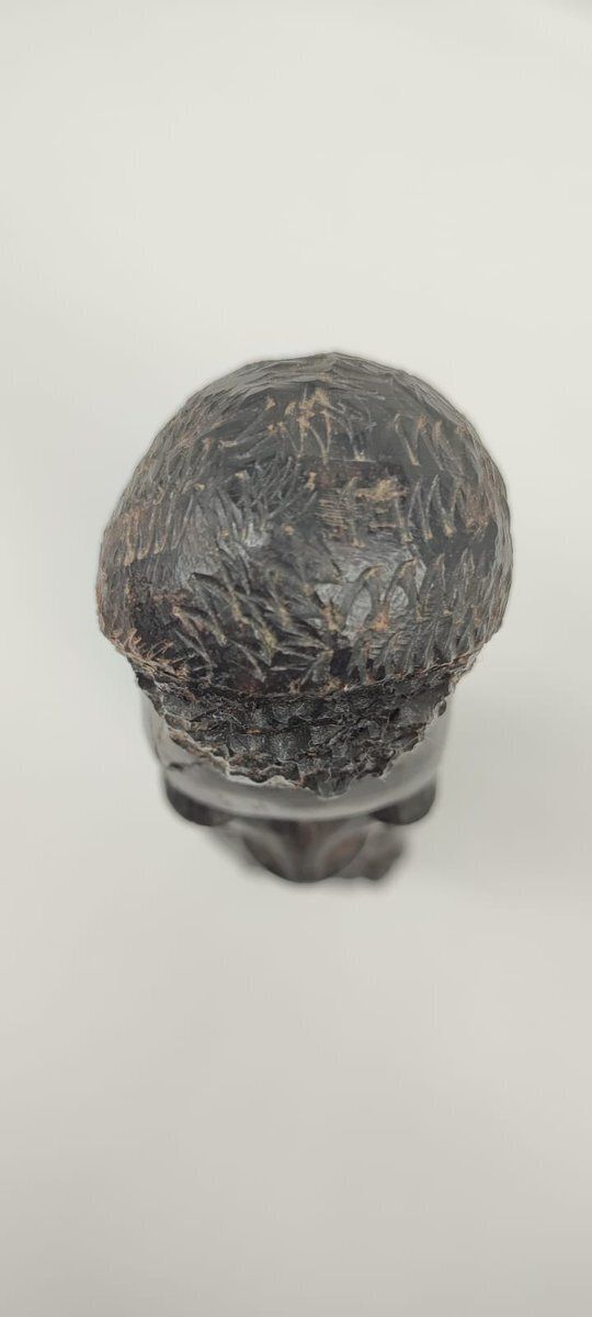 Art Modernist Hand Carved Ujamaa Sculpture In Ebony Makonde, 20th Century photo