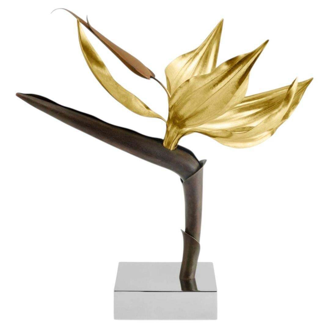 Bird Of Paradise Sculpture Limited Edition In Brass And Steel
