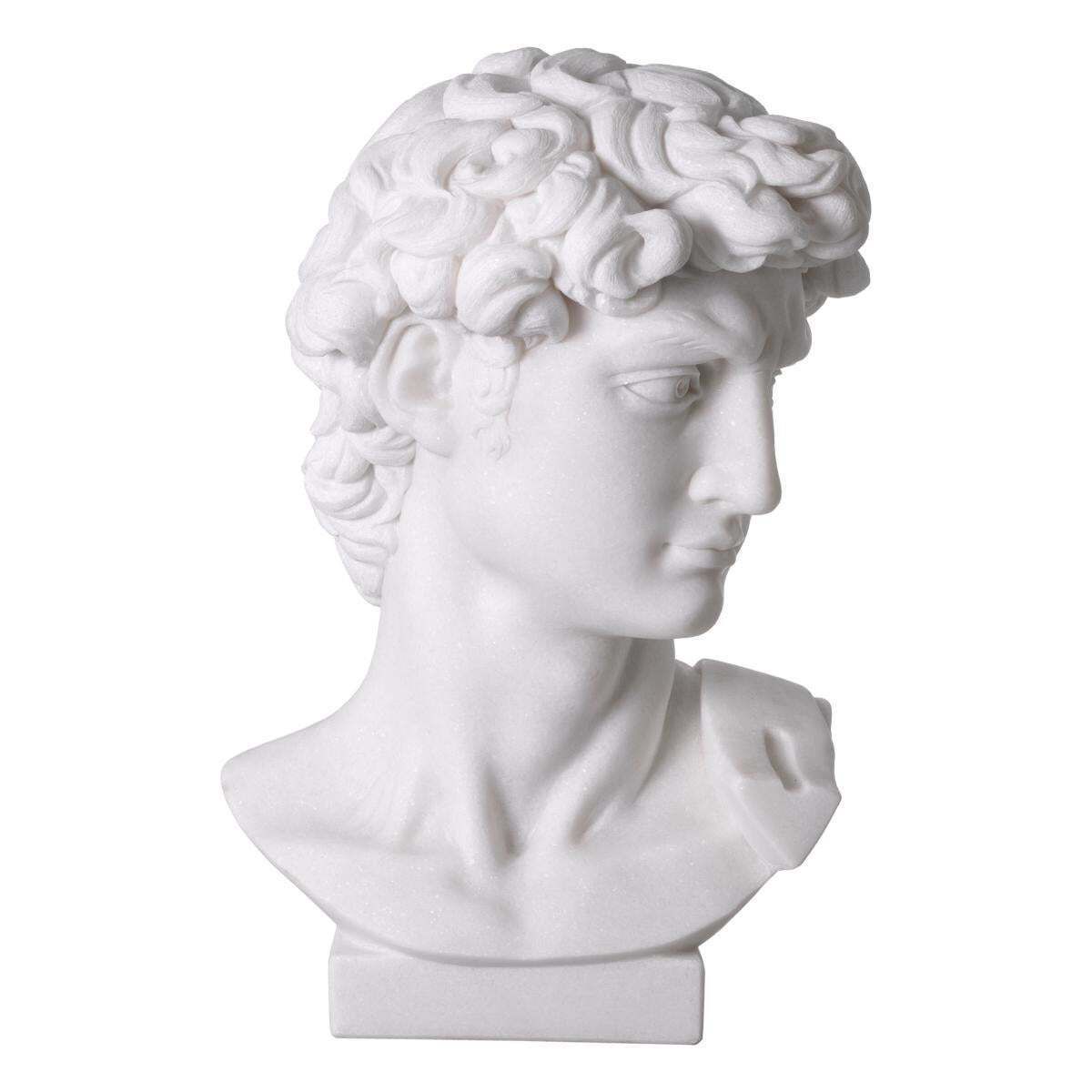 Head David Statue In White Marble Finish photo vinterior