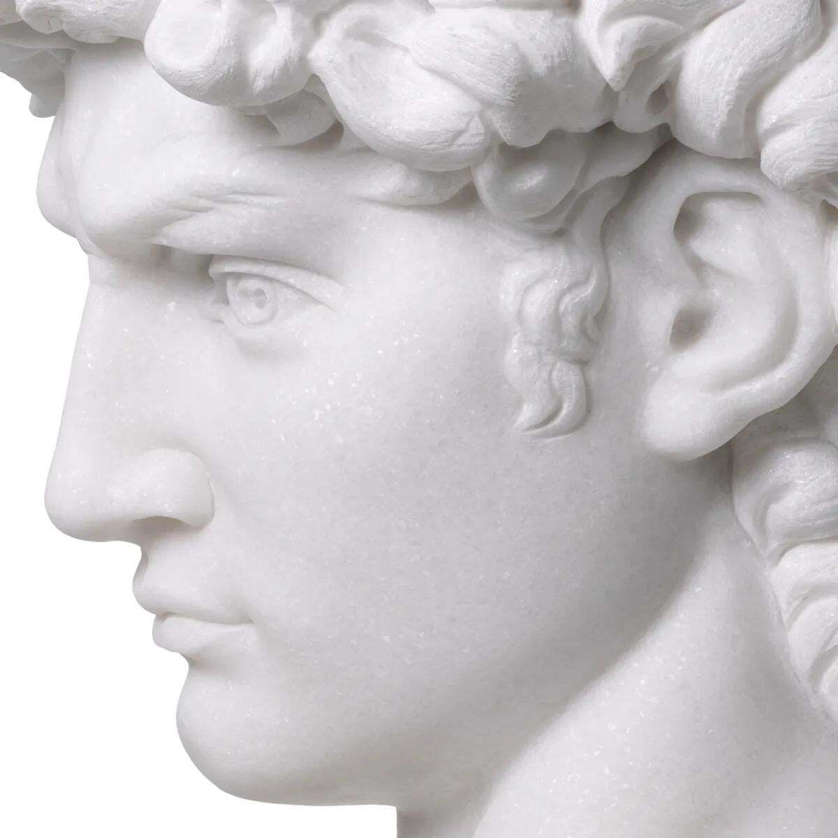 Head David Statue In White Marble Finish photo vintage