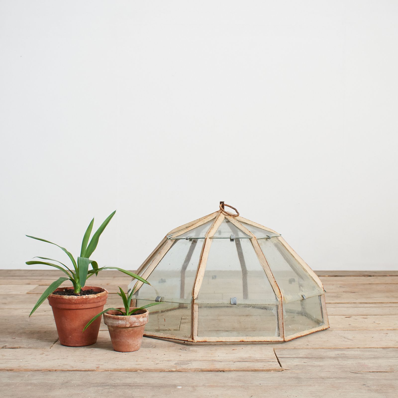 Victorian Antique French Country House Lantern Glass Garden Cloche – E