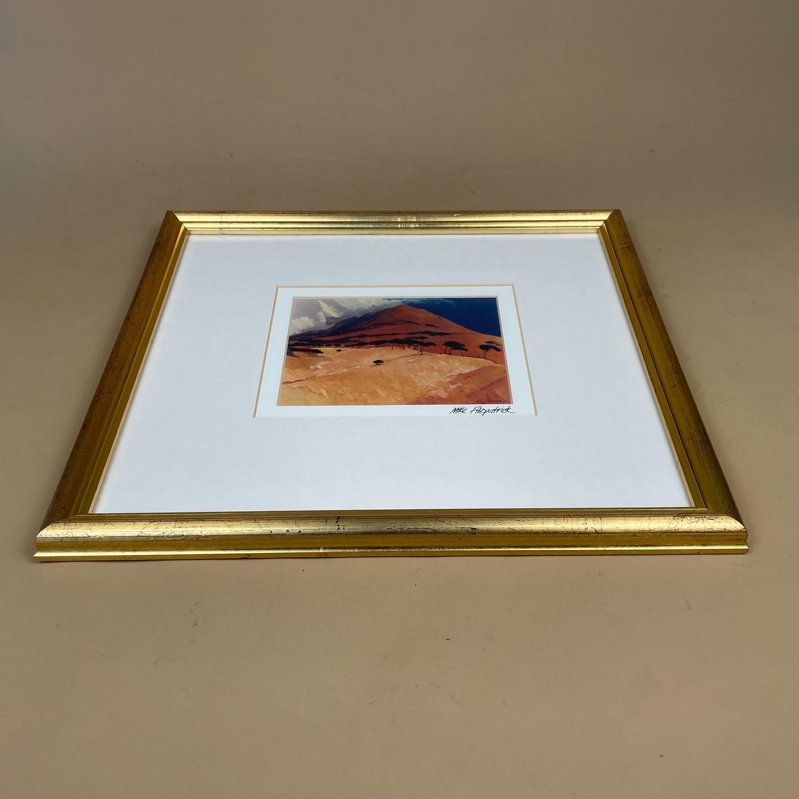 Cape Town Landscape Print Signed Mike Fitzpatrick 1993 Devil's Peak Framed Gold Wall Art South Africa Travel Art Collectible photo furniture