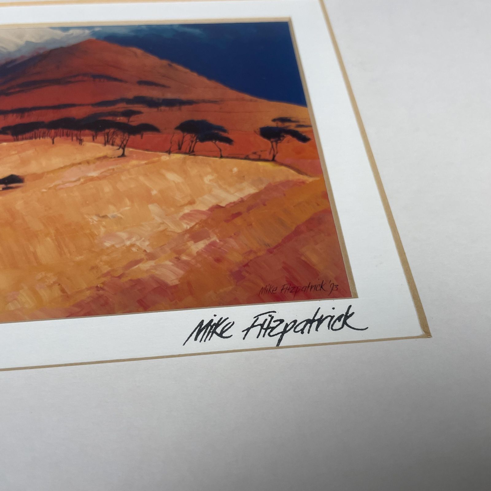 Cape Town Landscape Print Signed Mike Fitzpatrick 1993 Devil's Peak Framed Gold Wall Art South Africa Travel Art Collectible photo for sale