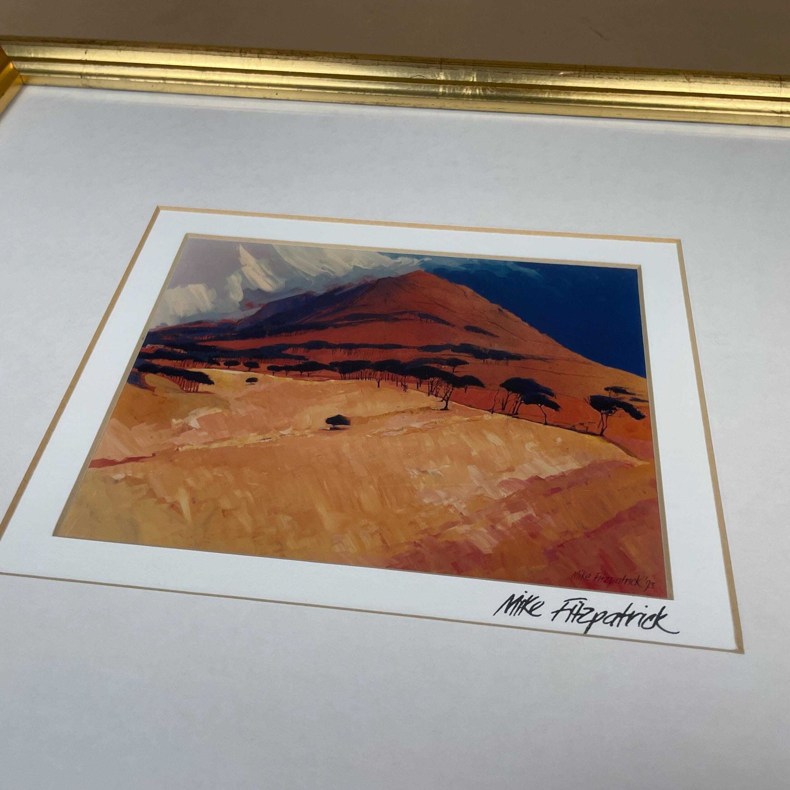 Cape Town Landscape Print Signed Mike Fitzpatrick 1993 Devil's Peak Framed Gold Wall Art South Africa Travel Art Collectible photo 55.0