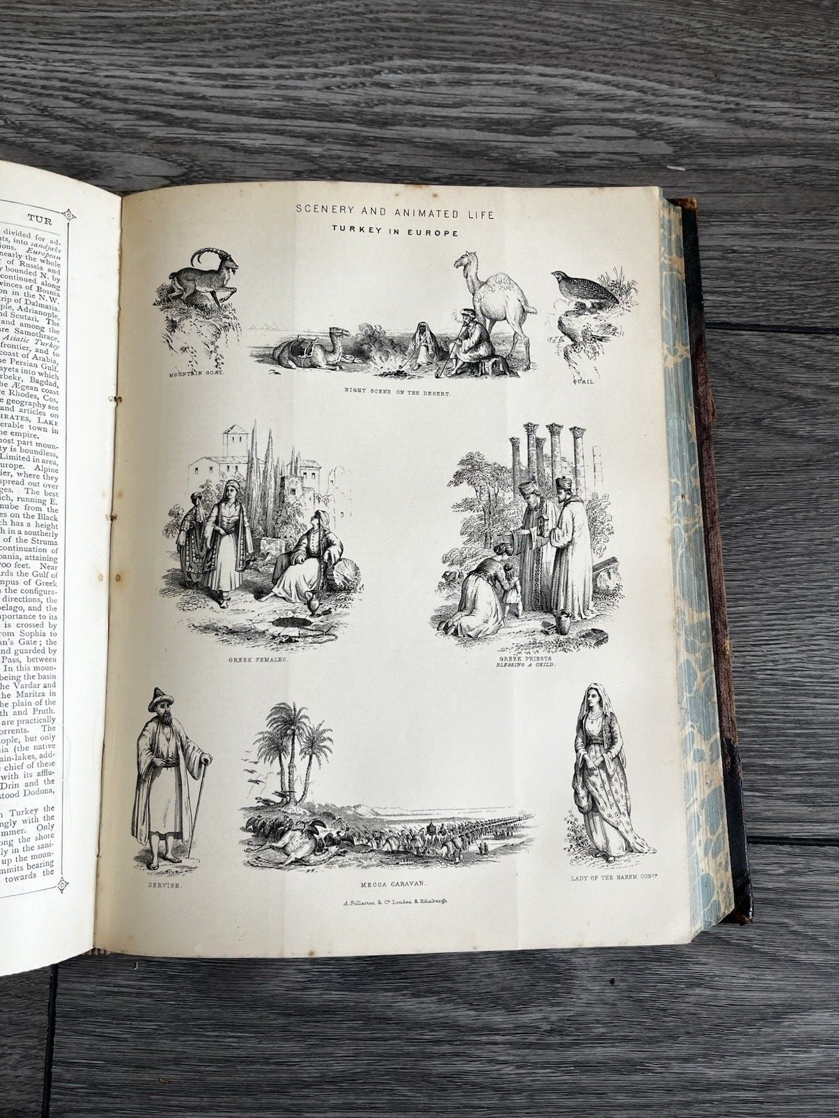 photo buy Antique Victorian Decorative Book 1881 Gilt Leather Globe Encyclopaedia Vol VI 6