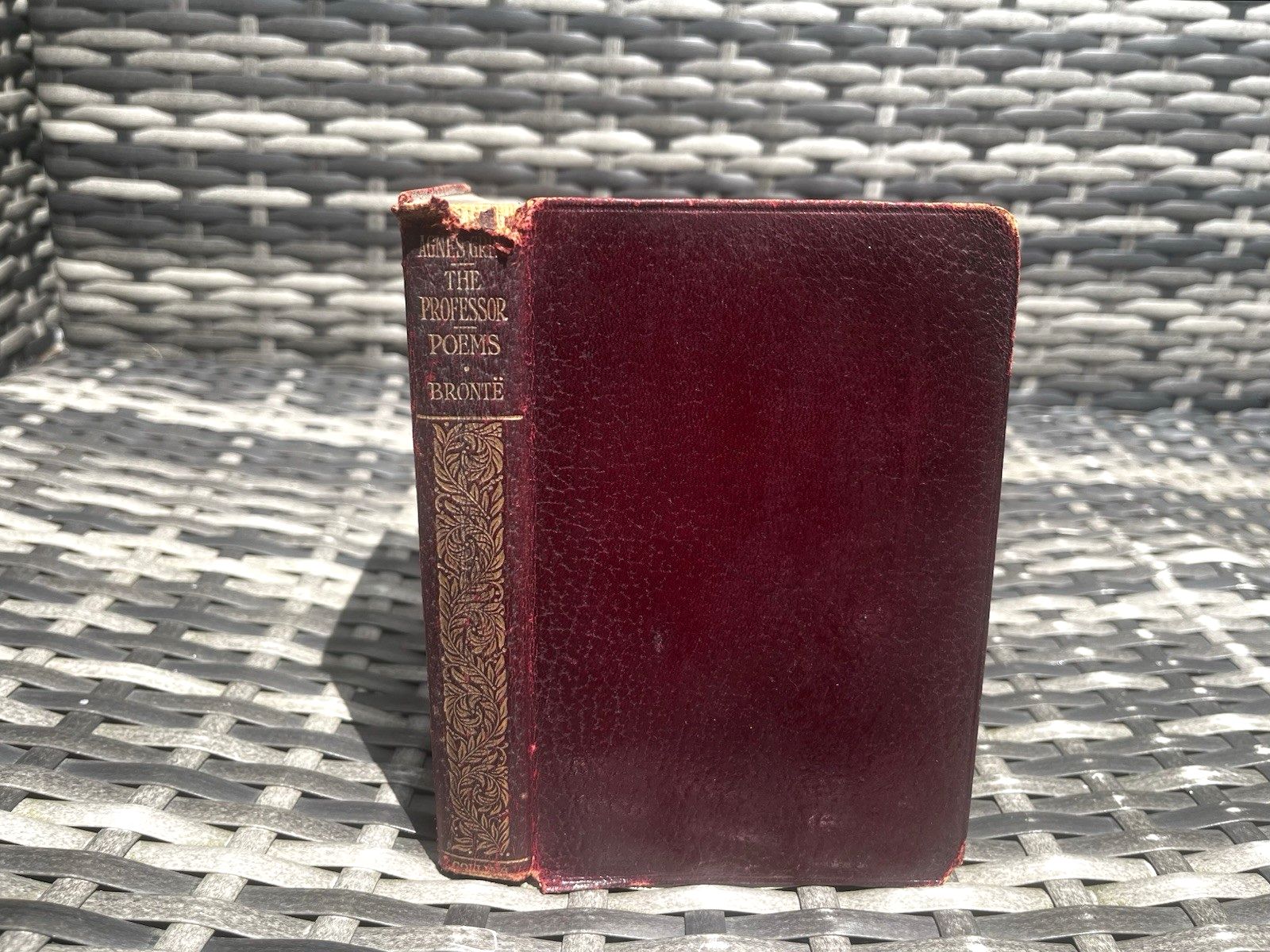 Antique Decorative Gilt Edge Leather Book Charlotte, Emily & Anne Bronte Sisters photo furniture