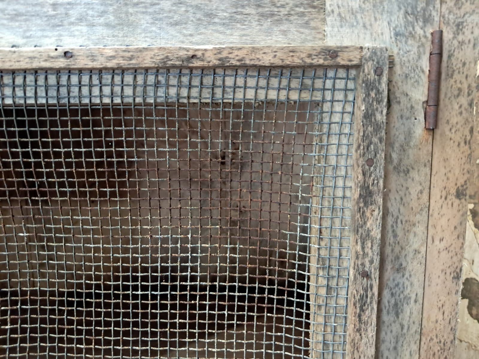 photo vintage Rustic Chicken Coop Cupboard