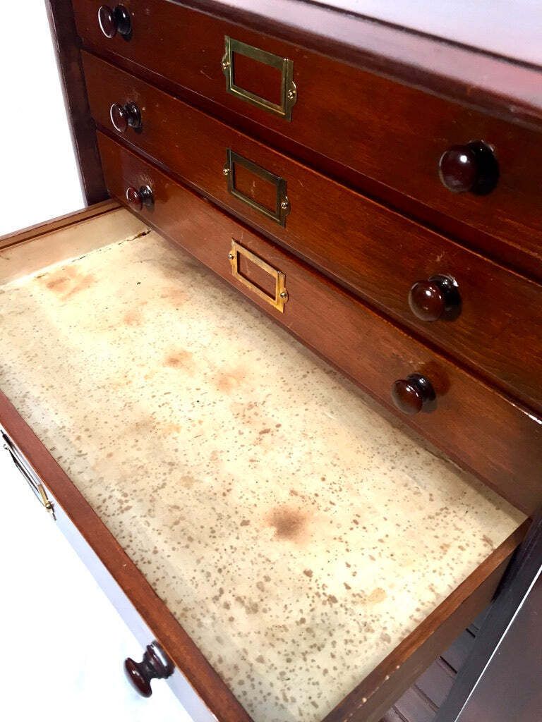 photo vinterior Antique Victorian Mahogany & Glass Specimen Collectors Filing Drawer Cabinet