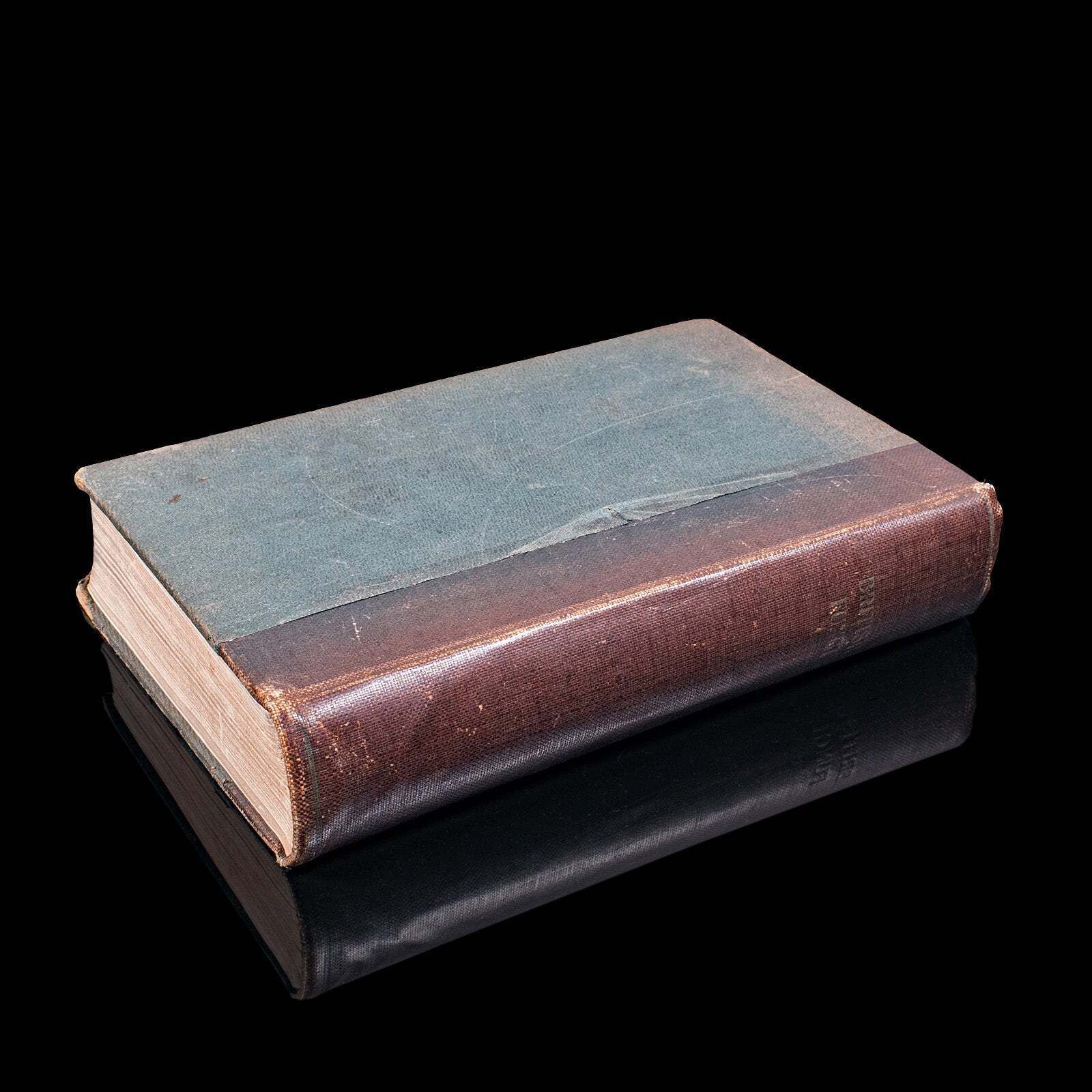 Antique Reference Book, British Fungi, George Massee, English, Natural, Science photo furniture