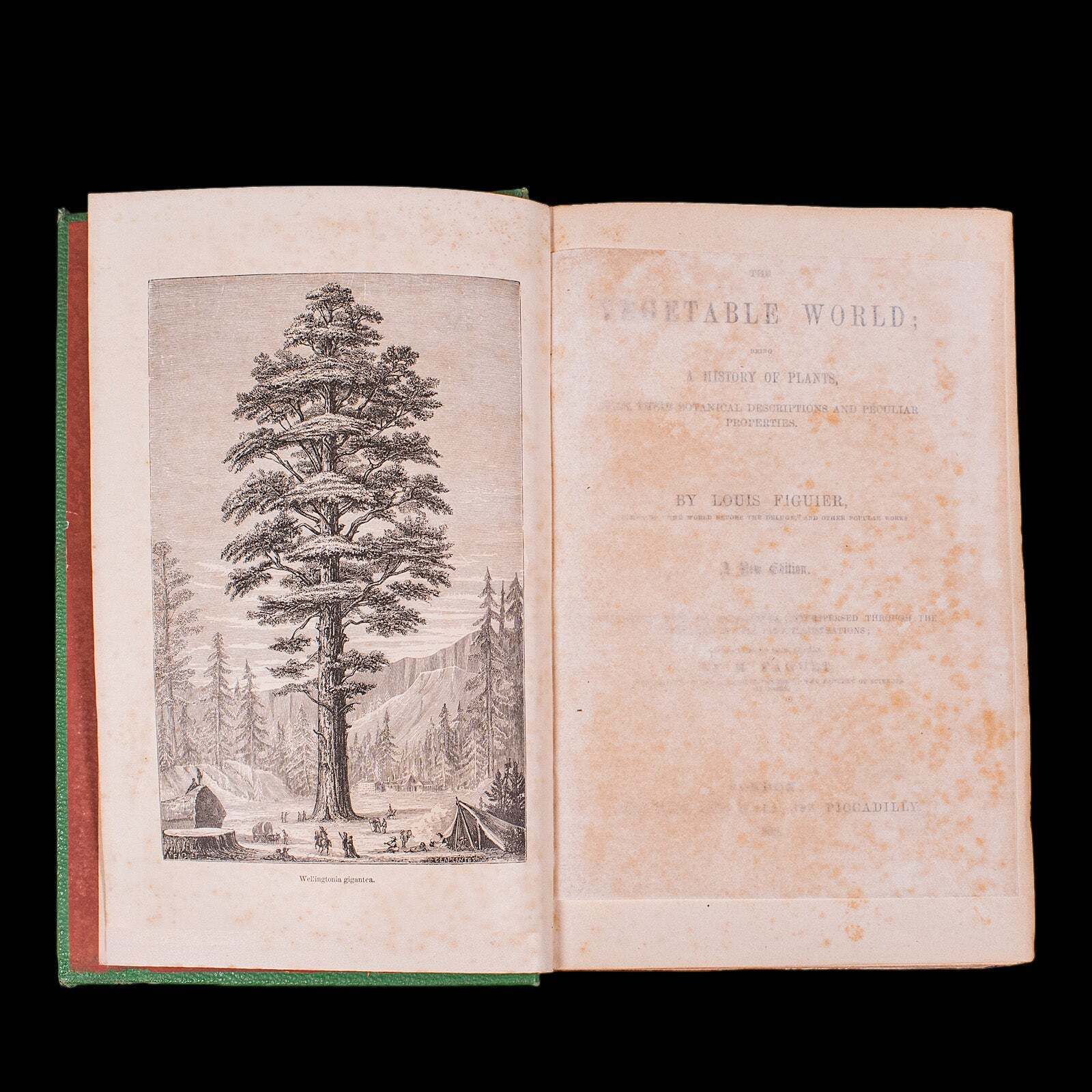 Antique Reference Book, The Vegetable World, English, Louis Figuier, Victorian photo for sale