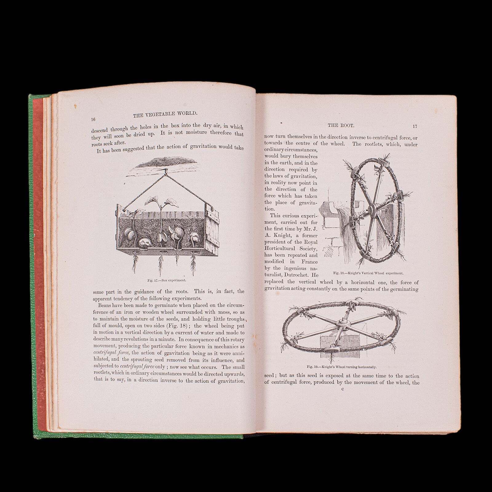 Antique Reference Book, The Vegetable World, English, Louis Figuier, Victorian photo 240.0