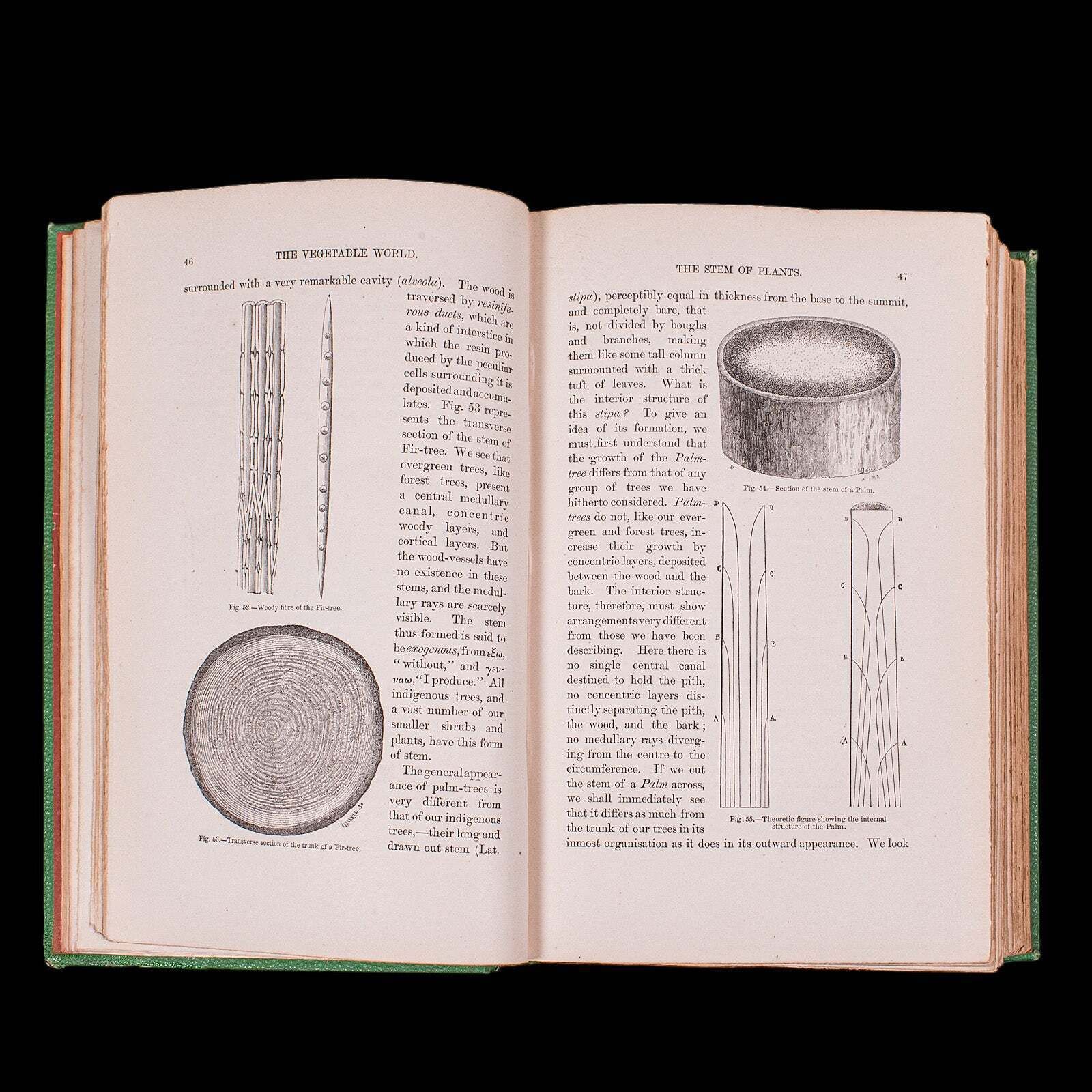 Antique Reference Book, The Vegetable World, English, Louis Figuier, Victorian photo vinterior