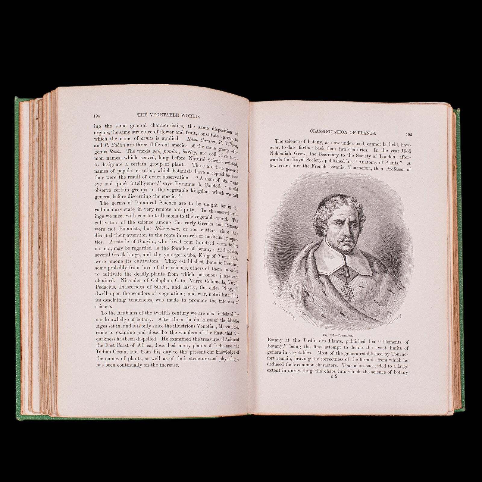 Antique Reference Book, The Vegetable World, English, Louis Figuier, Victorian photo vintage