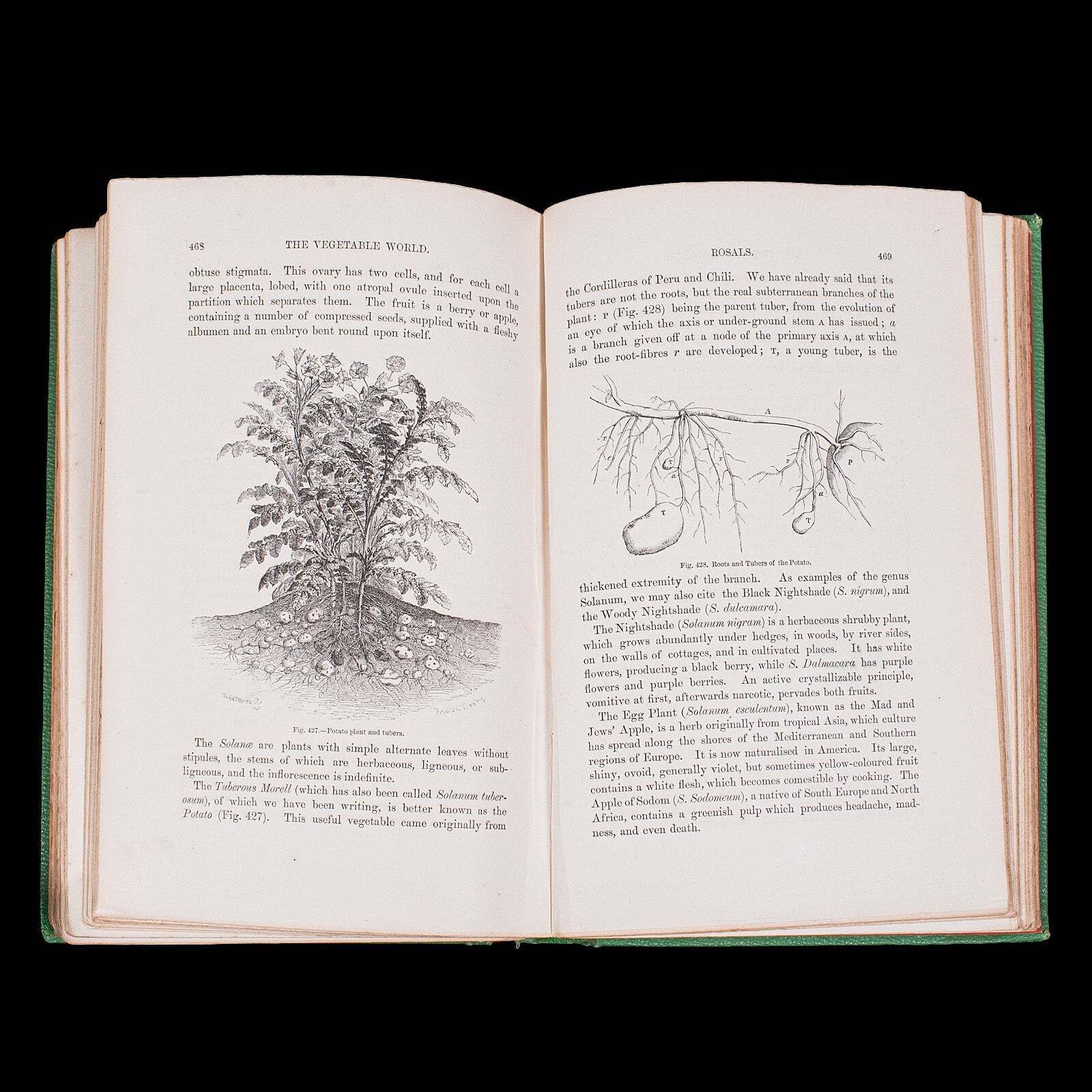 240.0 Antique Reference Book, The Vegetable World, English, Louis Figuier, Victorian photo