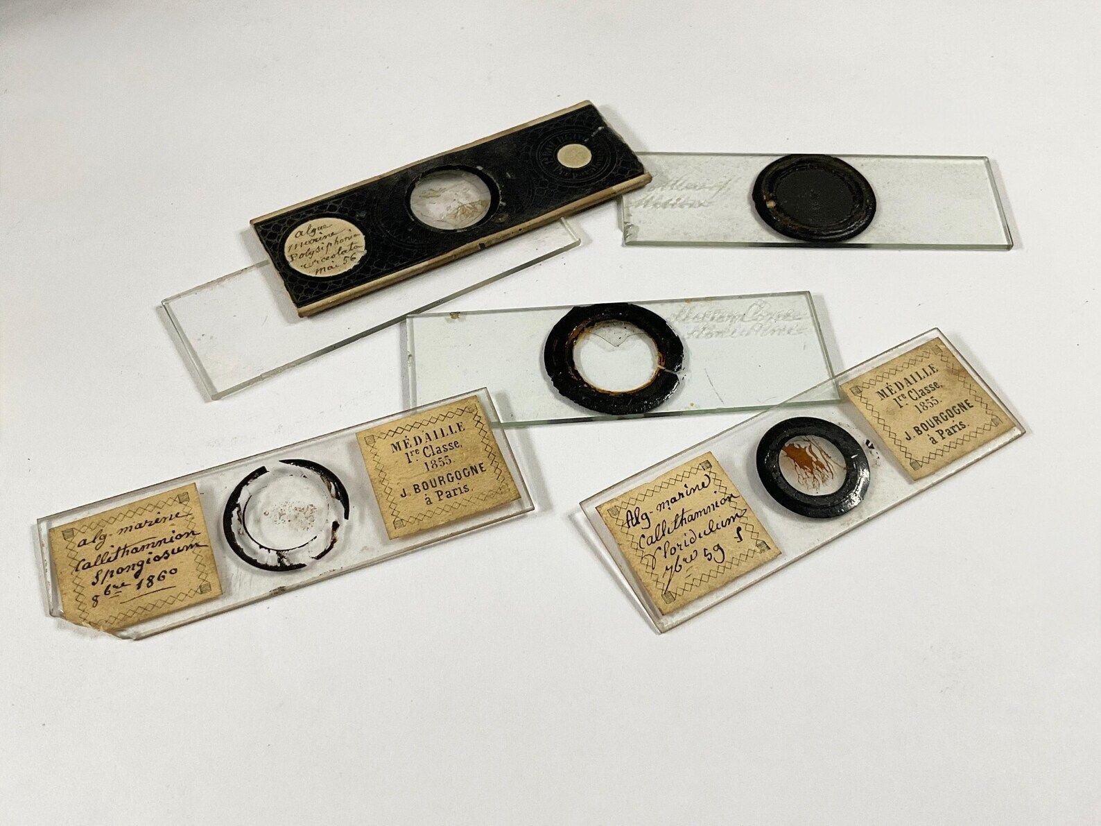 photo furniture Prachtige Victoriaanse messing microscoop in koffer, James Parkes & Son, Birmingham - ca. 1860-1870.