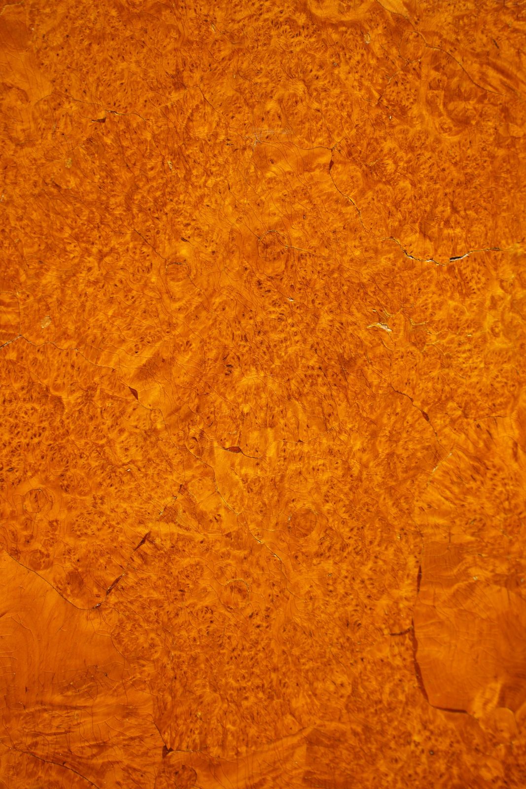 photo for sale Antique Swedish Tilt Top Occasional Table In Burl Wood Veneer, Mid 19th Century