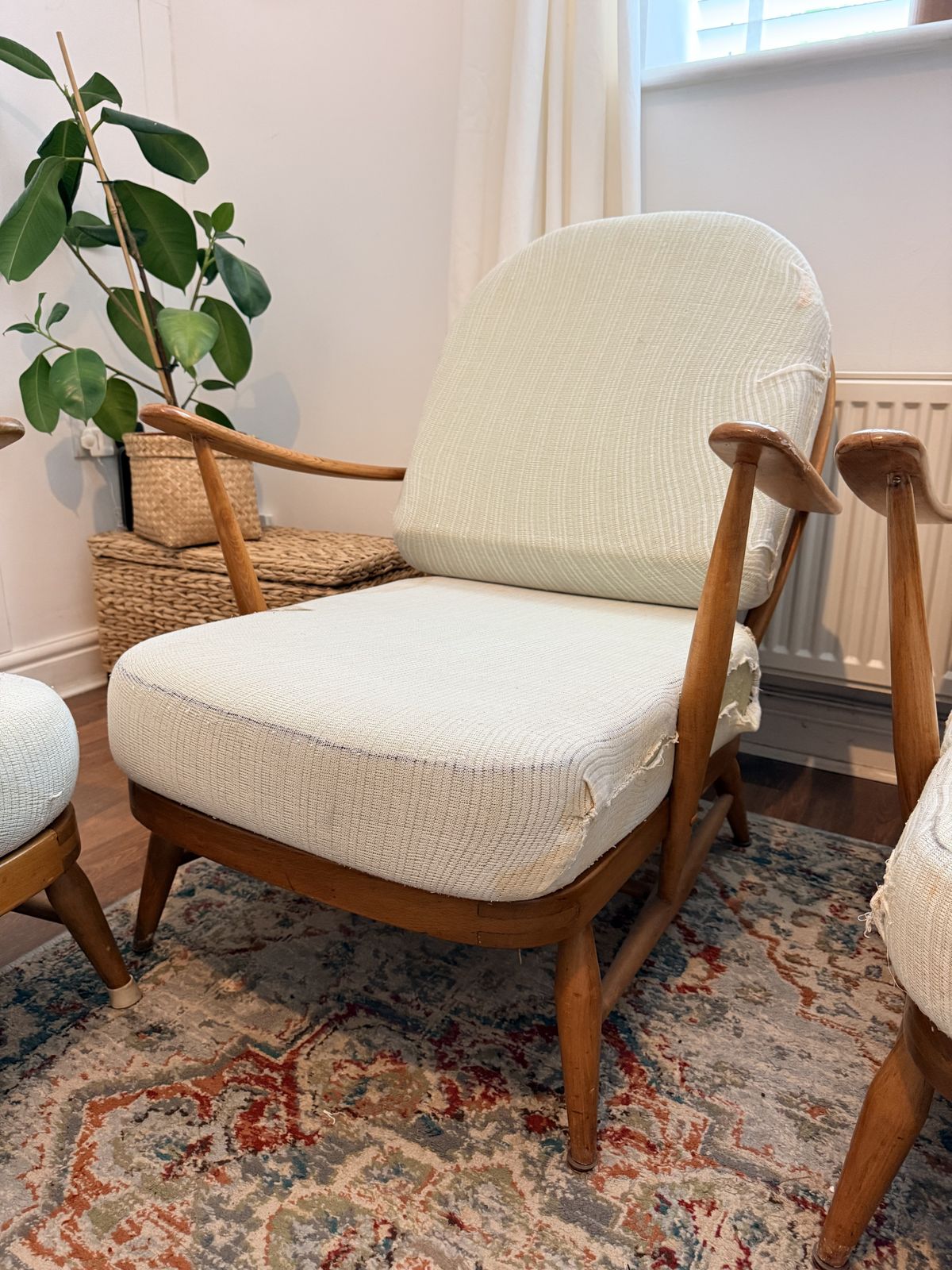 1500.0 Ercol Windsor 3 Piece Lounge Suite – Rare Fleur De Lys Splat – Mid Century Elm & Beech photo
