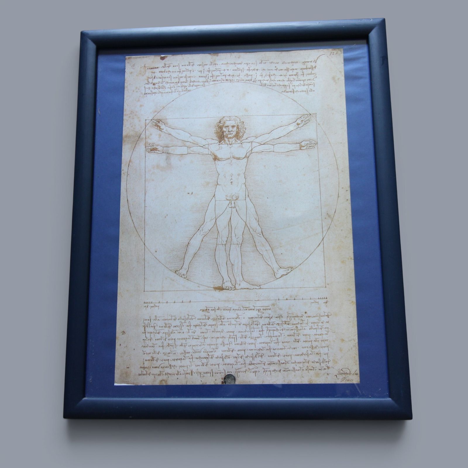 Set Of Three Glazed, Box‑Framed Prints Featuring Iconic Works By Leonardo Da Vinci   Vitruvian Man Anatomical Study The Geometry Of Vision photo furniture