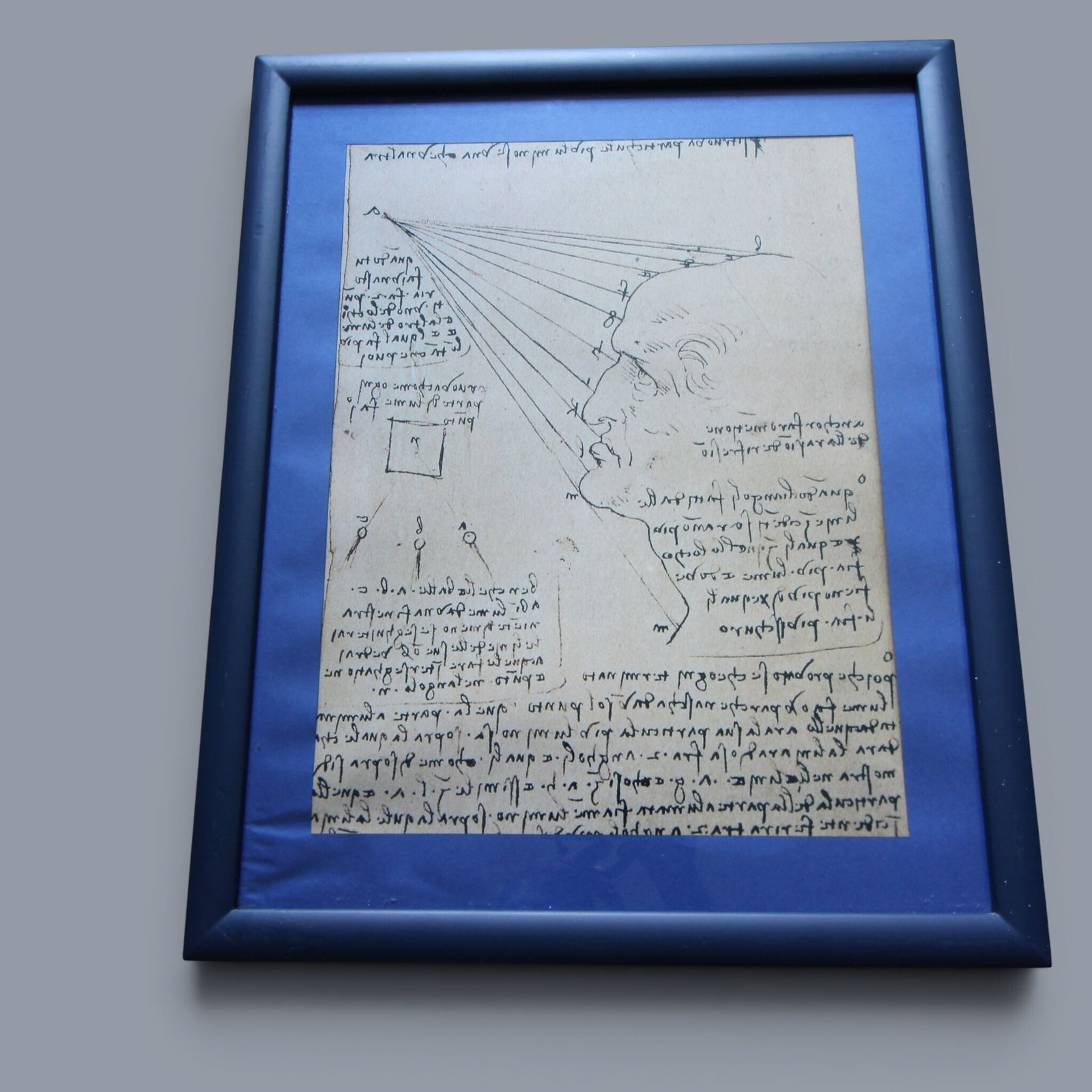 Set Of Three Glazed, Box‑Framed Prints Featuring Iconic Works By Leonardo Da Vinci   Vitruvian Man Anatomical Study The Geometry Of Vision photo Art