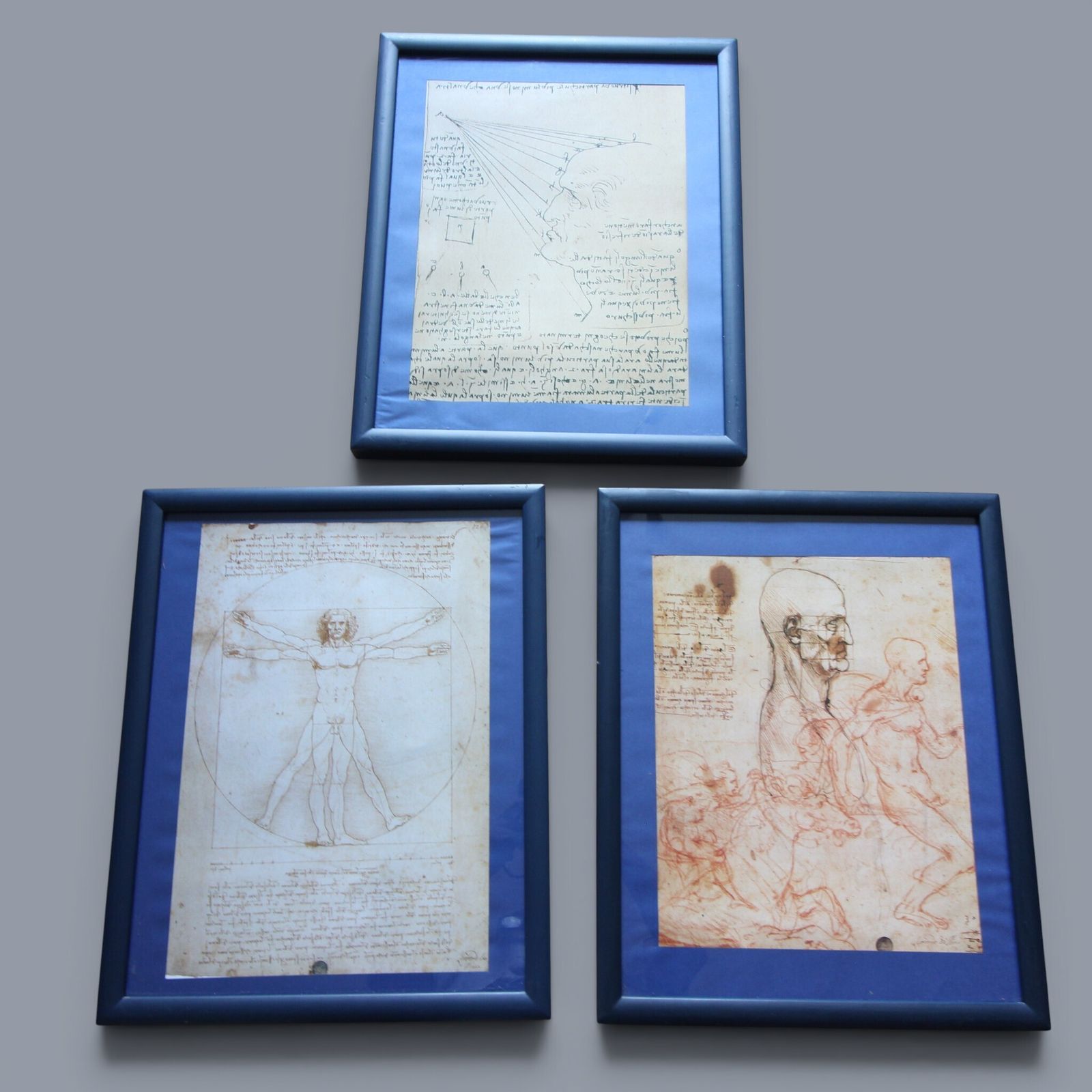 Set Of Three Glazed, Box‑Framed Prints Featuring Iconic Works By Leonardo Da Vinci   Vitruvian Man Anatomical Study The Geometry Of Vision photo 345.0