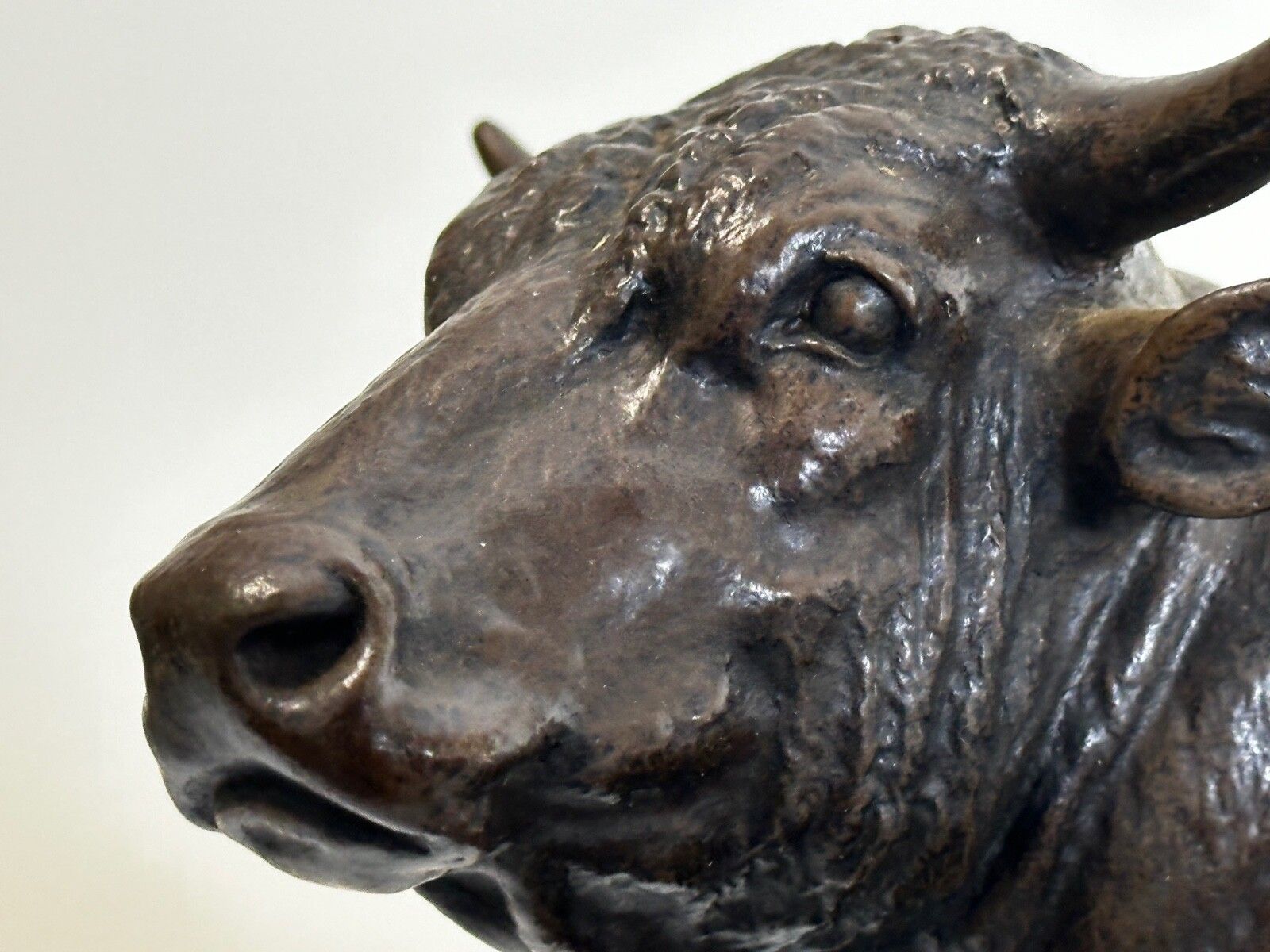 8500.0 19th Century Sculpture French Bronze Standing Prized Bull By Isidore Jules Bonheur photo