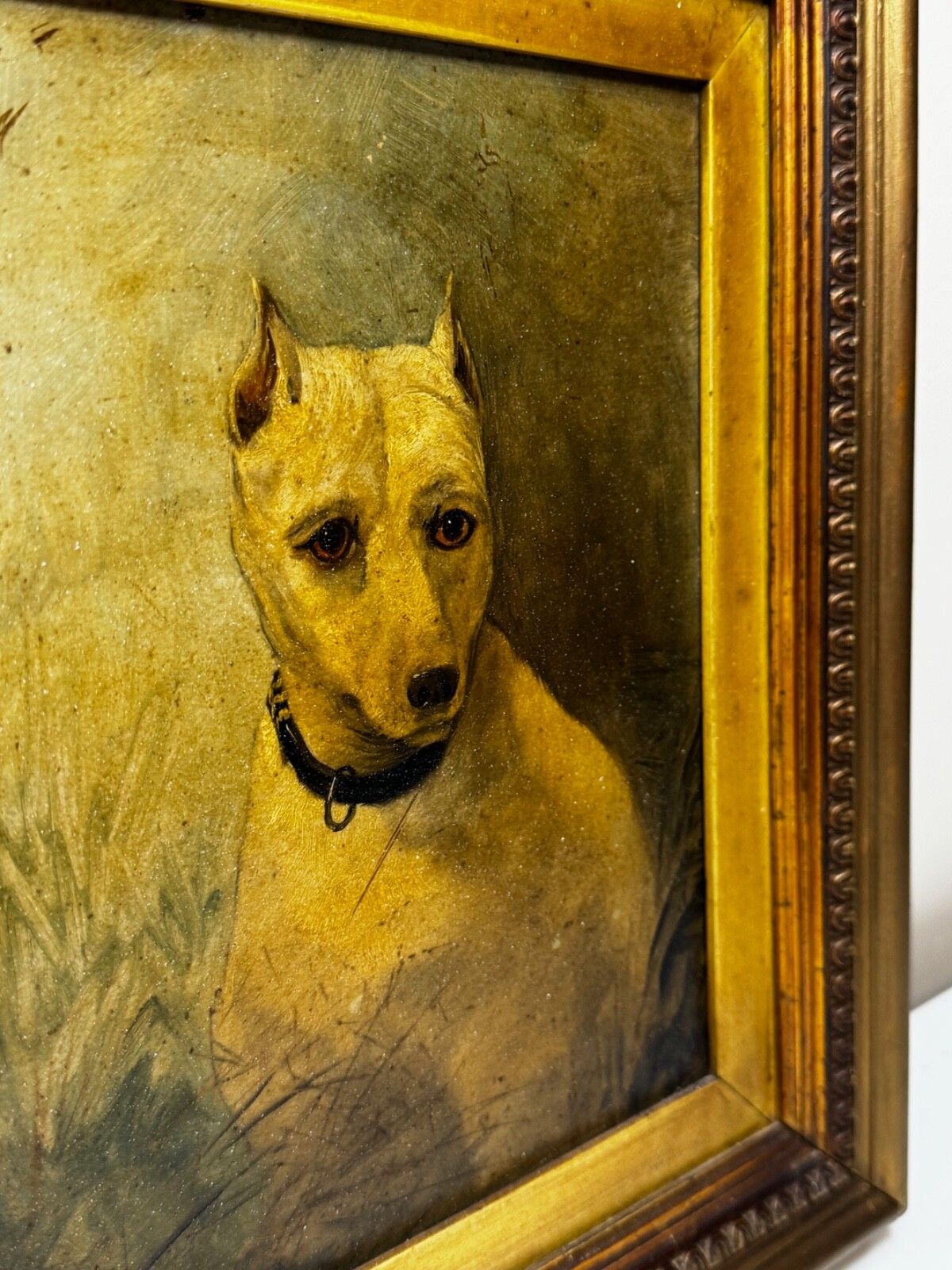 19th Century Oil Painting Animal Portrait  Extinct White English Terrier Follow Of John Emms photo vintage