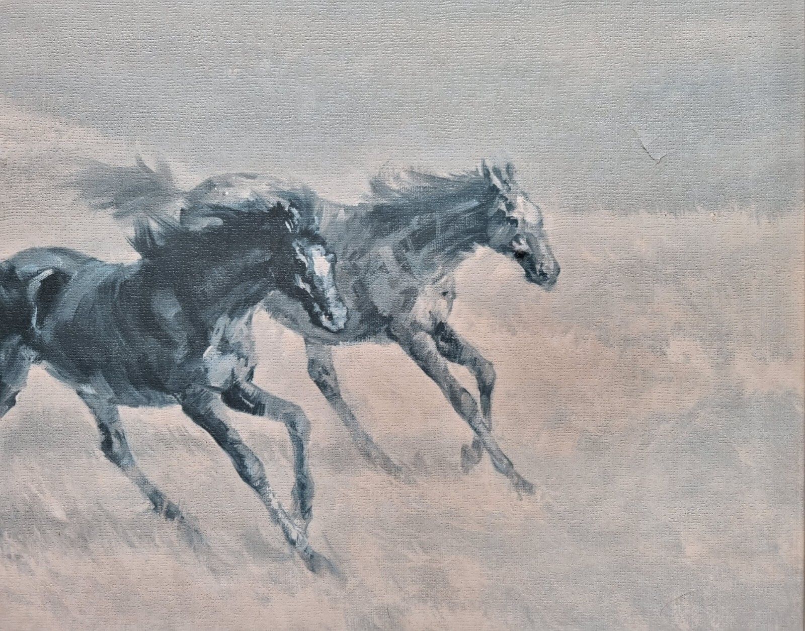 Large Mid Century Print On Board Wild & Free Horses Harland Young Framed 1960's photo buy