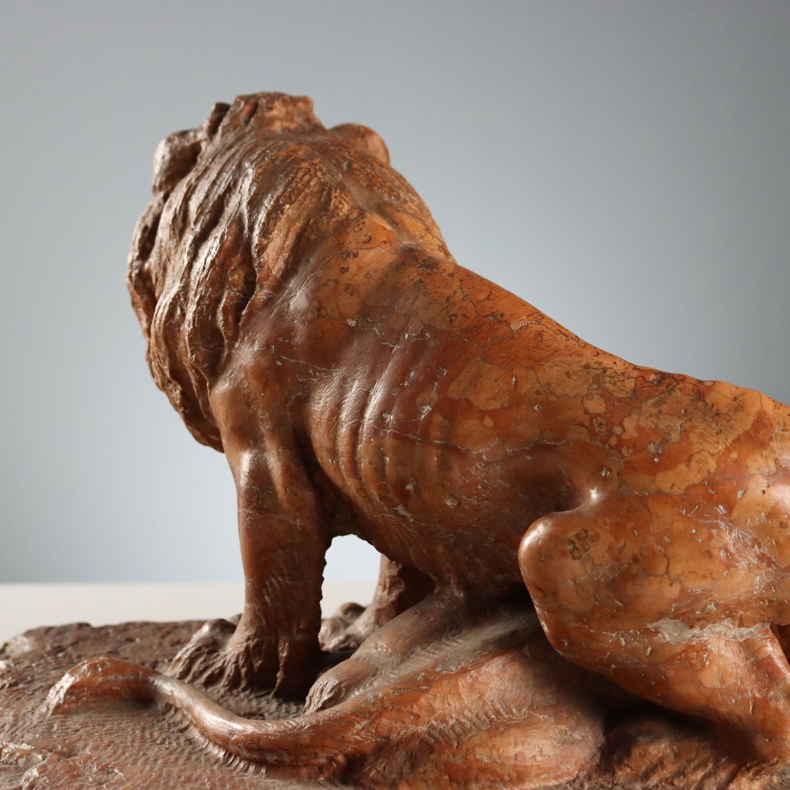 Antiek sculptuur marmeren leeuwen Italië XX eeuw photo buy
