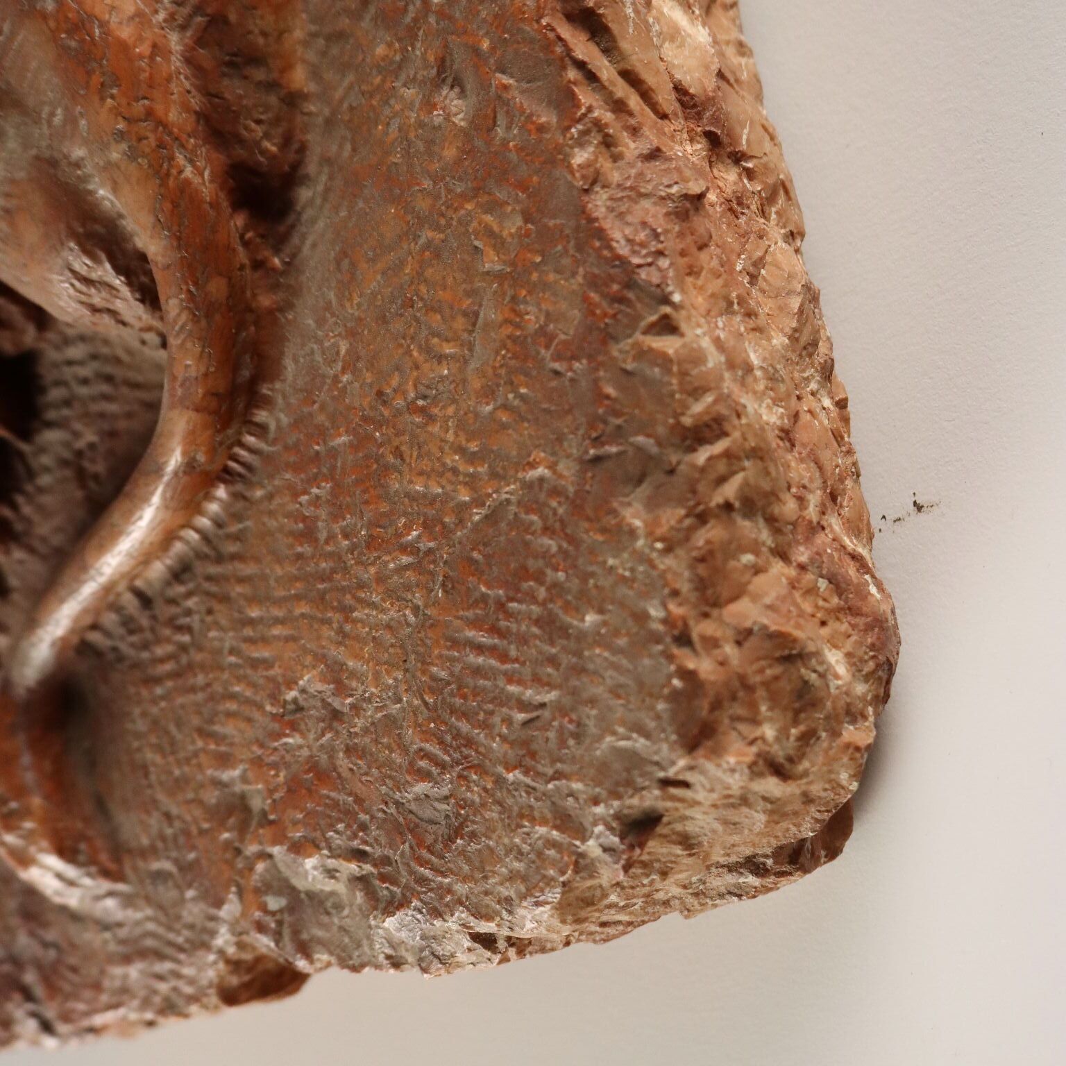 photo for sale Antiek sculptuur marmeren leeuwen Italië XX eeuw
