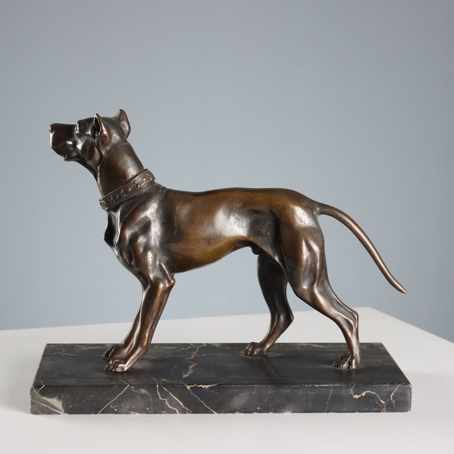Antiek bronzen hond, zwart marmeren sokkel, Italië, 20e eeuw photo vinterior