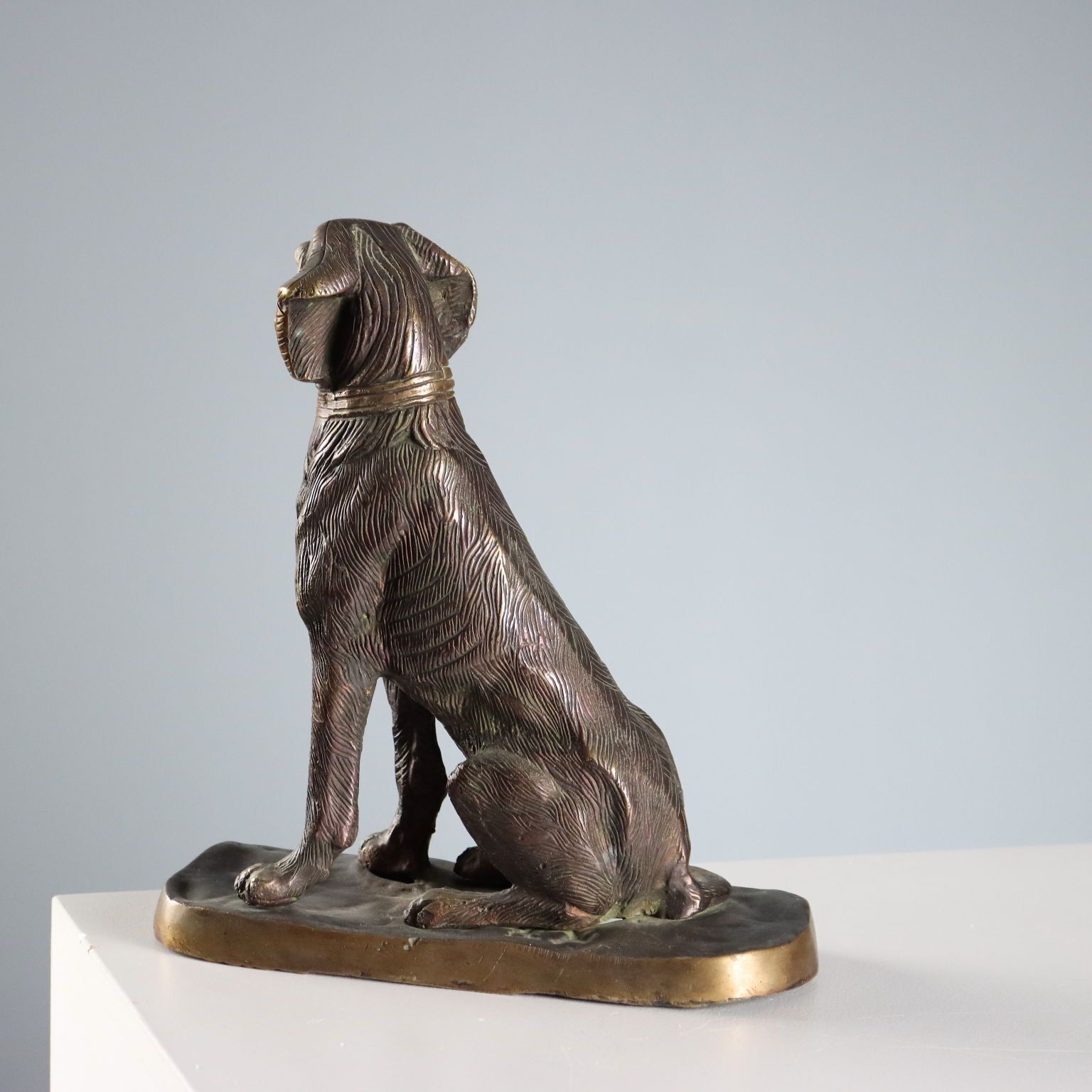 Antiek bronzen beeldje van een hond, Italië, begin 20e eeuw photo buy