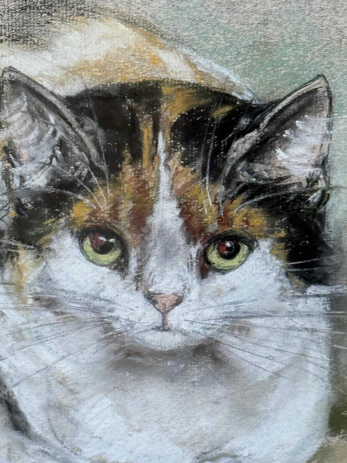 Original Marjorie Cox Pastel Portrait Of A Cat ‘Pretty Puss’ (1979) 43cm X 54cm photo for sale