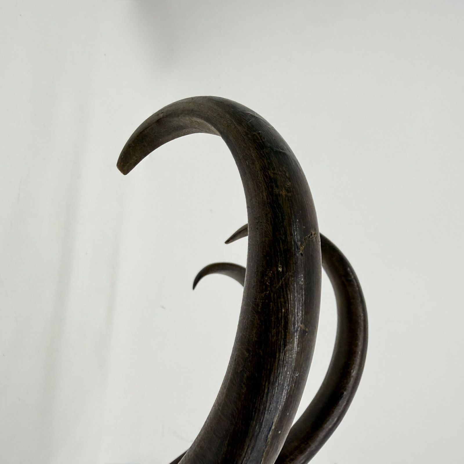 Antiek Thonet bentwood wandkapstok, jaren 1930 photo Meubels