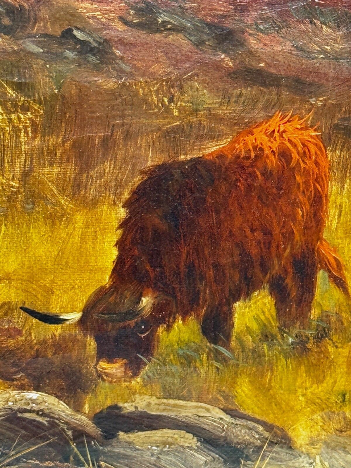 Kunst 19e-eeuws olieverfchilderij Longhorn Cattle West Scottish Highlands, gesigneerd door Gustave De Brianski photo